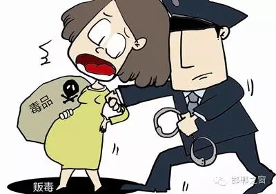 2016年初，涉縣警方查獲一起涉毒案件，鑒于該案涉案人員多、毒品交易量大，涉縣警方立即將案情上報(bào)，被公安部確立為“目標(biāo)-2016-314”號(hào)毒品案件。涉縣警方成立專(zhuān)案組，經(jīng)過(guò)多方追查，先后抓獲團(tuán)伙人員13名，繳獲毒品5349克，并查明上線“濮姐”的真實(shí)身份為陳某。